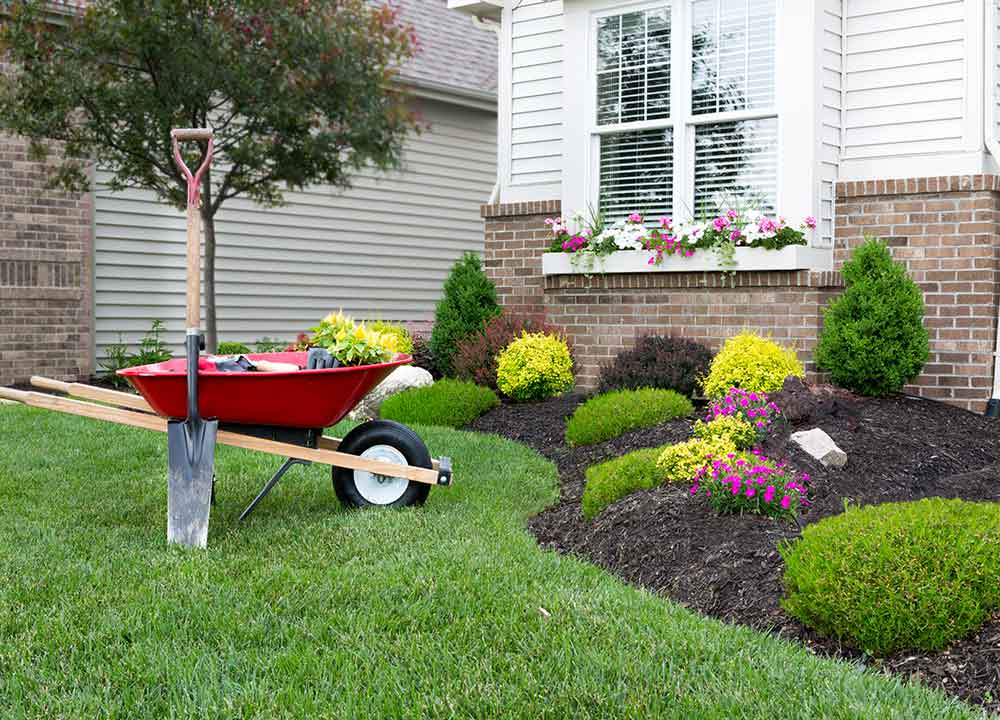 Home Decor and Garden